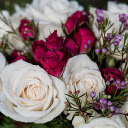 Beautiful bouquet of roses  screen for extension Chrome web store in OffiDocs Chromium