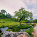 Beautiful clean green park  screen for extension Chrome web store in OffiDocs Chromium