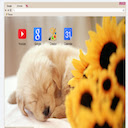 Beautiful Cute A Puppy Theme  screen for extension Chrome web store in OffiDocs Chromium