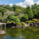 Beautiful Fish Pond  screen for extension Chrome web store in OffiDocs Chromium