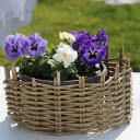 Beautiful flower pot  screen for extension Chrome web store in OffiDocs Chromium