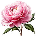 beautiful flowers  screen for extension Chrome web store in OffiDocs Chromium