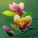 Beautiful flowers Wallpaper  screen for extension Chrome web store in OffiDocs Chromium