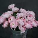 Beautiful flower vase  screen for extension Chrome web store in OffiDocs Chromium