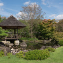 Beautiful Garden  screen for extension Chrome web store in OffiDocs Chromium