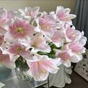 beautiful lily flower wallpaper  screen for extension Chrome web store in OffiDocs Chromium