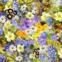 Beautiful little flowers  screen for extension Chrome web store in OffiDocs Chromium