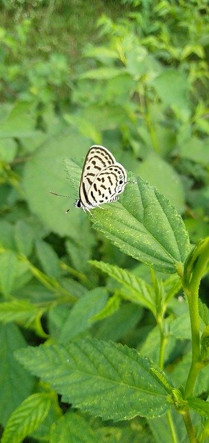 Ücretsiz indir Güzel Resimler Yeni - GIMP çevrimiçi resim düzenleyici ile düzenlenecek ücretsiz fotoğraf veya resim