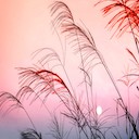 Beautiful Sunrise  screen for extension Chrome web store in OffiDocs Chromium