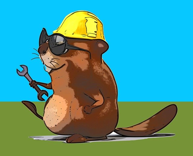 Free download Beaver Worker Helmet -  free illustration to be edited with GIMP free online image editor