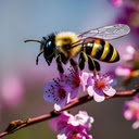 Bee and peach blossom wallpaper  screen for extension Chrome web store in OffiDocs Chromium