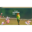 Bee eater  screen for extension Chrome web store in OffiDocs Chromium