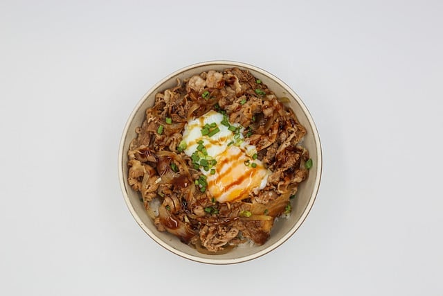Free download beef egg japanese don rice bowl free picture to be edited with GIMP free online image editor