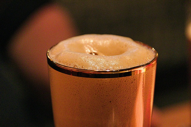 Free download beer ale pilsner alcoholic drink free picture to be edited with GIMP free online image editor