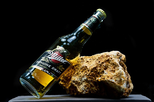 Free download beer miller brand bottle pine free picture to be edited with GIMP free online image editor