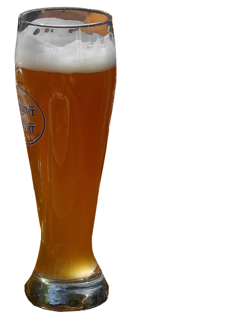Free download Beer Mug Glass Wheat -  free illustration to be edited with GIMP free online image editor