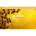 bees  screen for extension Chrome web store in OffiDocs Chromium