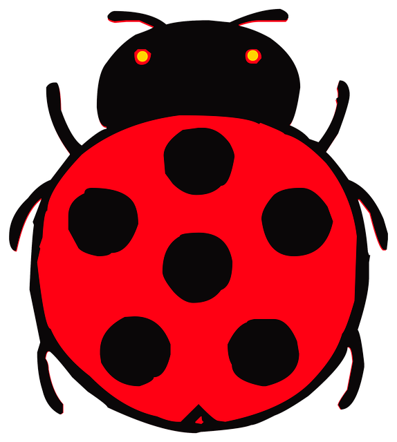 Free download Beetle Ladybug Red -  free illustration to be edited with GIMP free online image editor