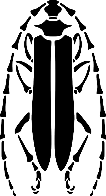 Free download Beetle Longhorn Pattern - Free vector graphic on Pixabay free illustration to be edited with GIMP free online image editor