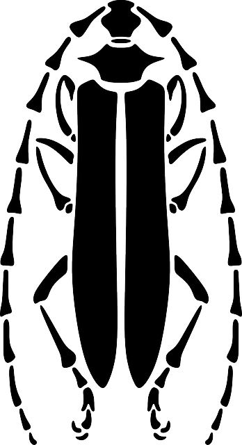 دانلود رایگان Beetle Longhorn Pattern - گرافیک وکتور رایگان در تصویر رایگان Pixabay برای ویرایش با ویرایشگر تصویر آنلاین رایگان GIMP