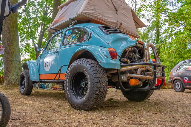 Free download beetle vw volkswagen old free picture to be edited with GIMP free online image editor