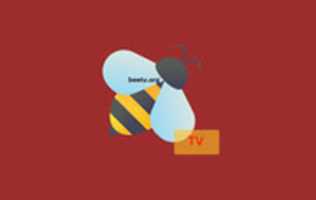 Free download Bee TV free photo or picture to be edited with GIMP online image editor