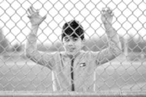 Free download Behind the Fence free photo or picture to be edited with GIMP online image editor