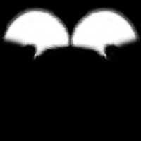 Free download bellami free photo or picture to be edited with GIMP online image editor