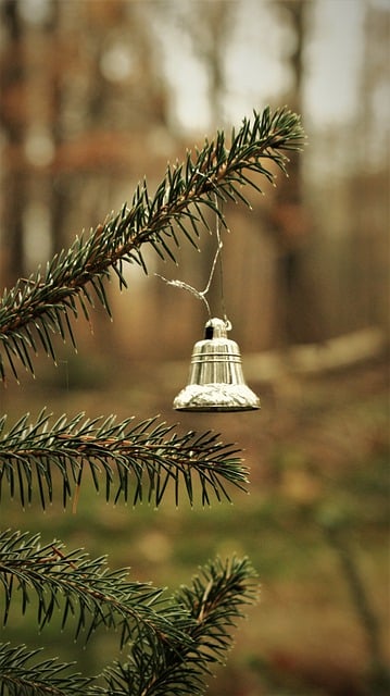 김프 무료 온라인 이미지 편집기로 편집할 수 있는 종 장식 크리스마스 트리 무료 사진을 무료로 다운로드하세요.