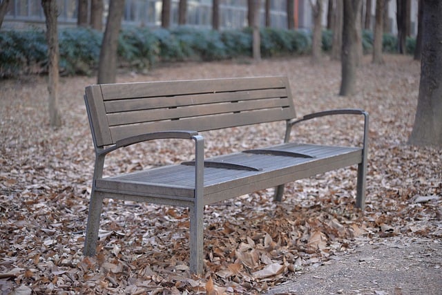 Free graphic bench leaves park fall autumn to be edited by GIMP free image editor by OffiDocs
