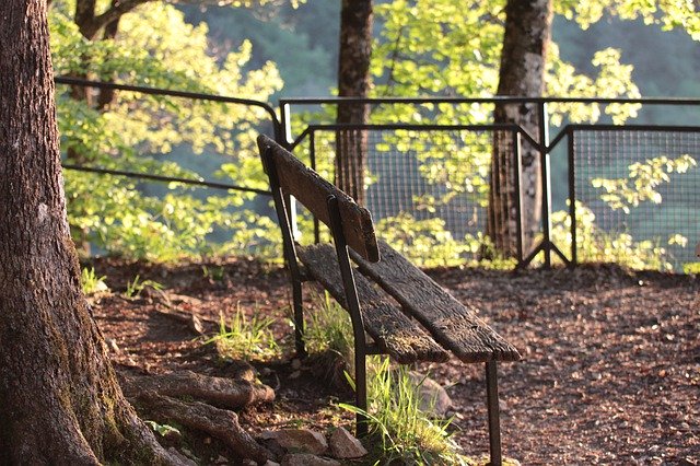 Скачать бесплатно Bench Nature Solitude - бесплатное фото или изображение для редактирования с помощью онлайн-редактора изображений GIMP