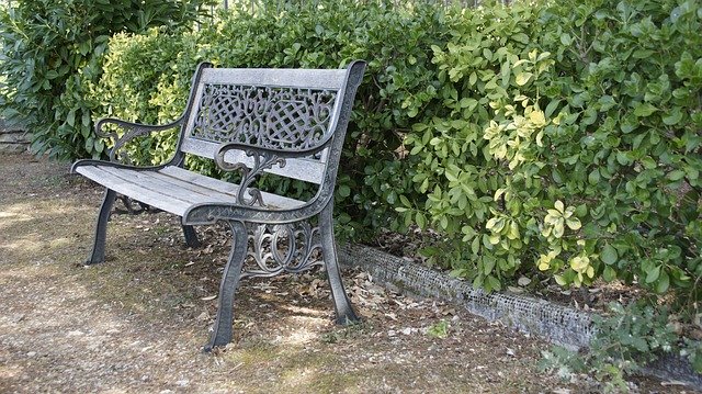 Bezpłatne pobieranie Bench Park - bezpłatne zdjęcie lub obraz do edycji za pomocą internetowego edytora obrazów GIMP