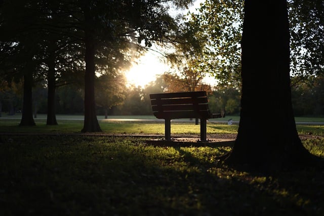 Free download bench park leaves sunset autumn free picture to be edited with GIMP free online image editor