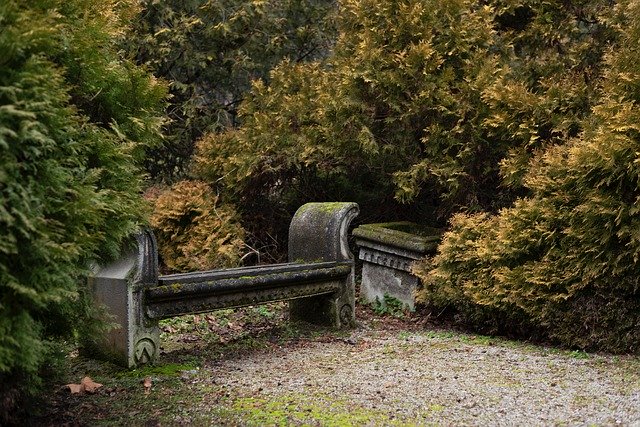 Free download Bench Park Nature -  free photo or picture to be edited with GIMP online image editor