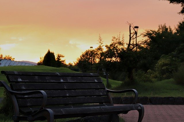 Free download Bench Park Sunset -  free photo or picture to be edited with GIMP online image editor
