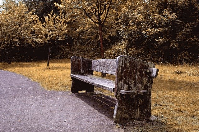Free picture Bench Park Wooden -  to be edited by GIMP free image editor by OffiDocs