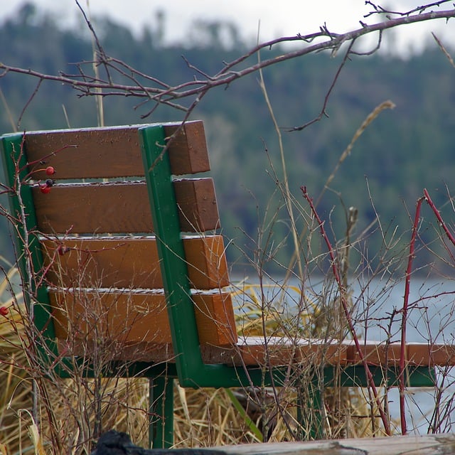 Free download bench seat plants park contemplate free picture to be edited with GIMP free online image editor