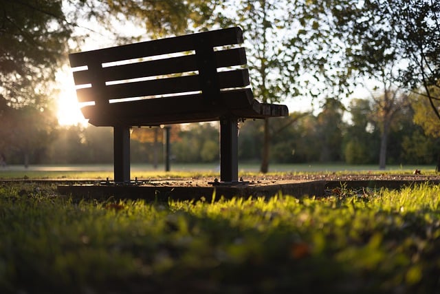 تنزيل مجاني على مقاعد البدلاء silouette يترك صورة غروب الشمس المجانية ليتم تحريرها باستخدام محرر الصور المجاني على الإنترنت GIMP