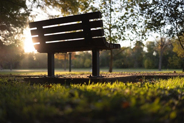 Free download bench silouette leaves sunset free picture to be edited with GIMP free online image editor