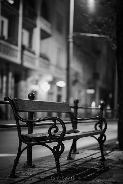 دانلود رایگان تصویر سیاه و سفید نیمکت خیابانی شبانه برای ویرایش با ویرایشگر تصویر آنلاین رایگان GIMP