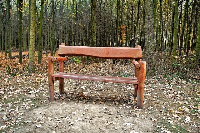 Free download Bench Wooden Lone -  free photo or picture to be edited with GIMP online image editor