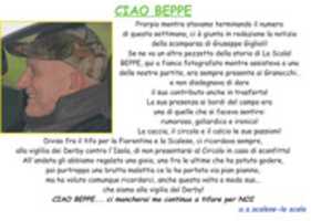 Free download beppe free photo or picture to be edited with GIMP online image editor