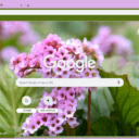 Bergenia  screen for extension Chrome web store in OffiDocs Chromium