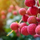 Berry Bright, Sunlit Ruby Spheres  screen for extension Chrome web store in OffiDocs Chromium