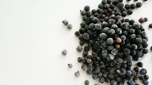 Free download Berry Currant Nutrition -  free photo or picture to be edited with GIMP online image editor