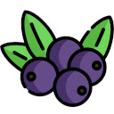 Berryductive  screen for extension Chrome web store in OffiDocs Chromium