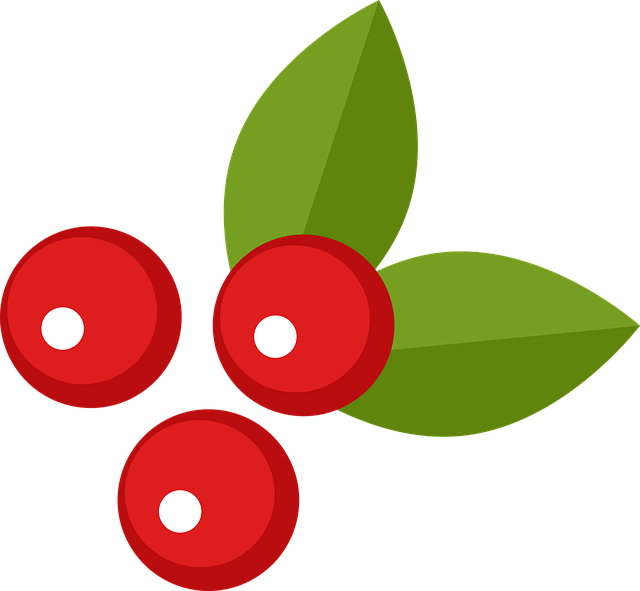 Free download Berry Leaf Leaves - Free vector graphic on Pixabay free illustration to be edited with GIMP free online image editor