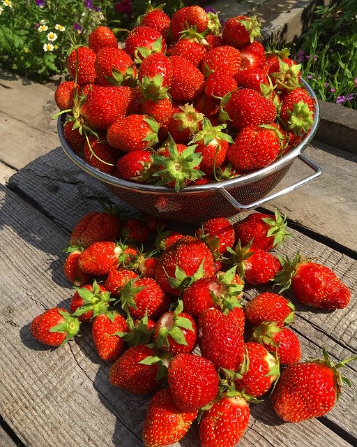 Gratis download Berry Strawberry Red - gratis gratis foto of afbeelding om te bewerken met GIMP online afbeeldingseditor