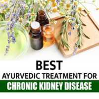 Free download Best Ayurvedic Treatment For Chronic Kidney Disease free photo or picture to be edited with GIMP online image editor