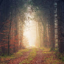 Best forest landscape  screen for extension Chrome web store in OffiDocs Chromium
